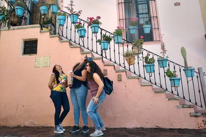 3-Hour Guided Walking Tour of Guanajuato - Plaza de San Fernando: festival spirit and Cervantino context