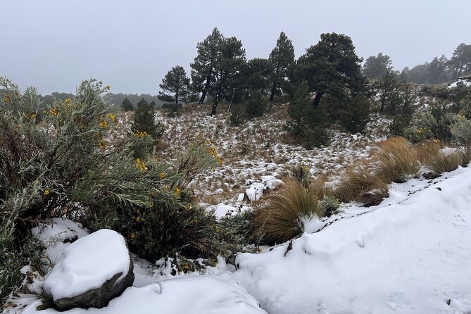 3 Hour Private Hike: Mountain Nevado Toluca from Mexico City - Group size: private tour, but winter rules can still affect the day