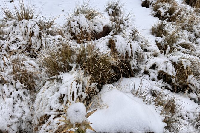 3 Hour Private Hike: Mountain Nevado Toluca from Mexico City - Weather reality: what to expect when the mountain is in a mood
