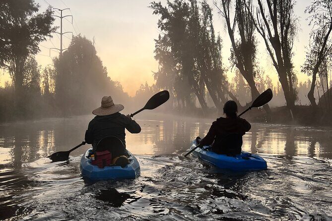 3 Hours of Kayaking at the Ancient Canals of Xochimilco - Chinampas in Motion: Seeing Pre-Hispanic Farming While It’s Still Working