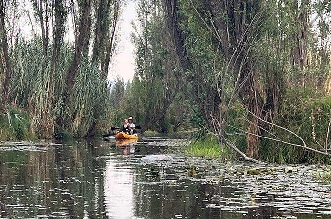 3 Hours of Kayaking at the Ancient Canals of Xochimilco - Wildlife Watching With a Guide Who Adjusts to What You See