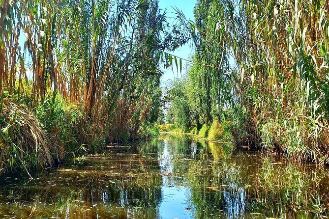3 Hours of Kayaking at the Ancient Canals of Xochimilco - Grant’s Role: How a Small-Group English Tour Becomes a Real Conversation