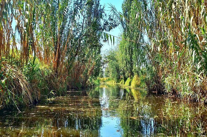 3 Hours of Kayaking at the Ancient Canals of Xochimilco - Price and Value: Does $71.65 Make Sense for a 3-Hour Kayak?