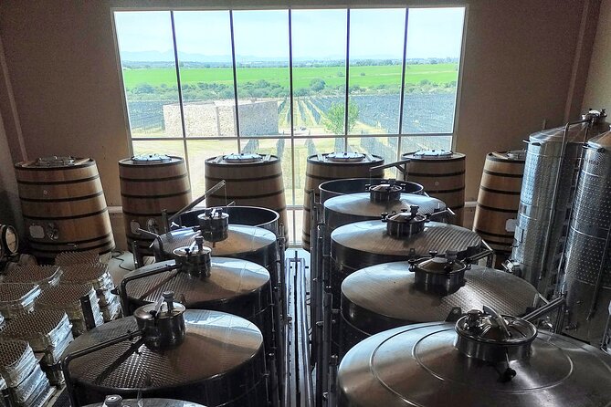 3 or 5 Course Menu + Wine Pairing + Tour @Local Winery - Terruño Restaurant: 3 or 5 Courses With Local Pairings