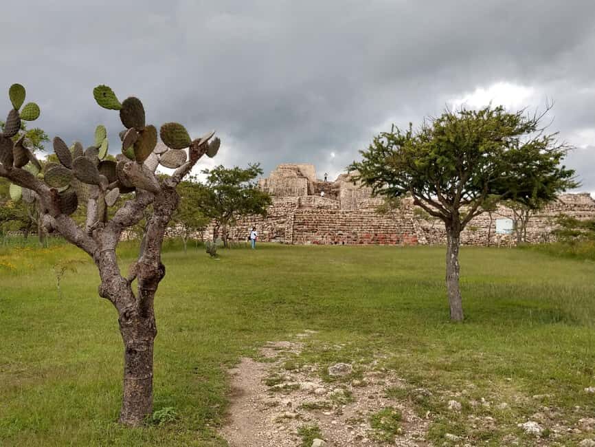 A NOT crowded tour to Cañada de la Virgen - Price and Value: Is $93 Worth a Remote Half-Day?