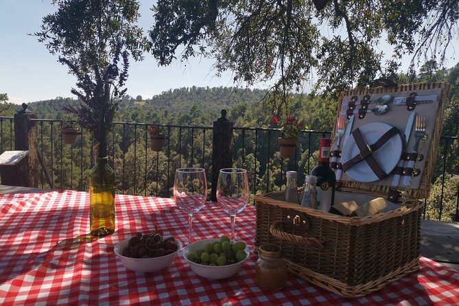 Admission to the Alpinia Nature and Adventure Park - Forest and glen walking trails: a reset between the chaos
