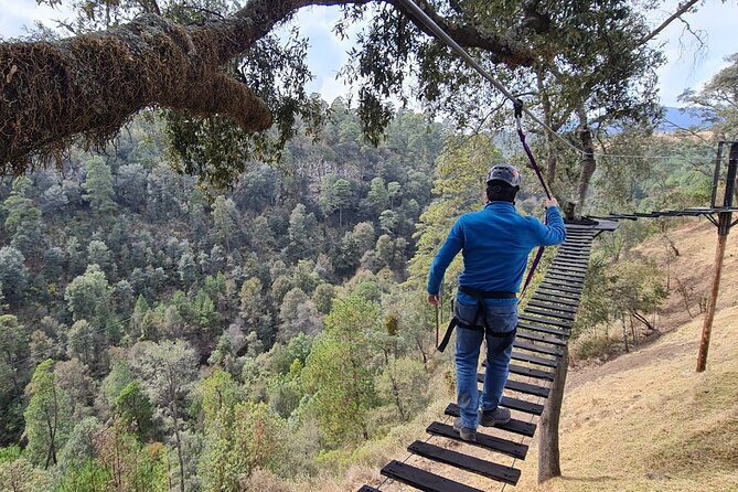 Admission to the Alpinia Nature and Adventure Park - Tree nursery and reforestation learning: nature facts that don’t feel forced