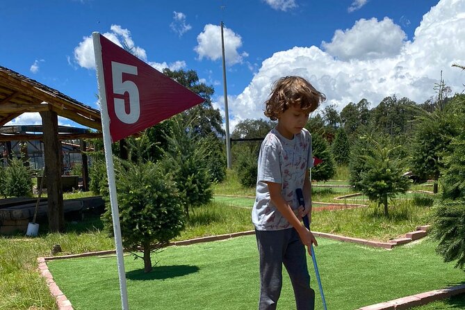 Admission to the Alpinia Nature and Adventure Park - Kids farm, obstacle course, playground, and suspension bridge