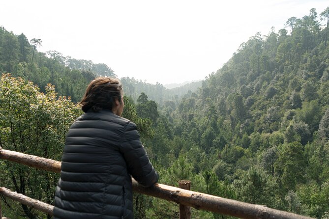 Admission to the Alpinia Nature and Adventure Park - Optional thrills: zip line and canopy tours (extra cost, clear choice)