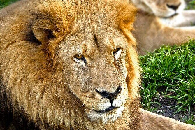 Africam Safari Tour from Puebla - On-foot viewing: fun, but keep it in mind physically
