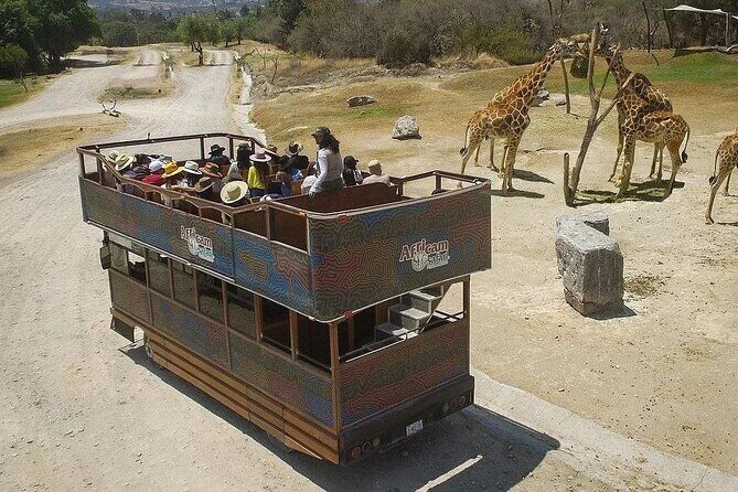 Africam Safari Tour from Puebla - Group size, English, and the pace of the day