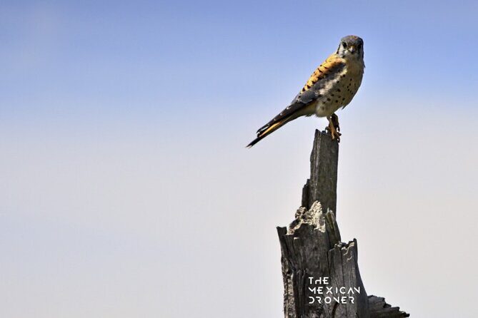 Ajusco Sunrise Hike with Drone photos-highest sunrise in CDMX - What to Pack: Warmth, Traction, and Small Energy Boosts