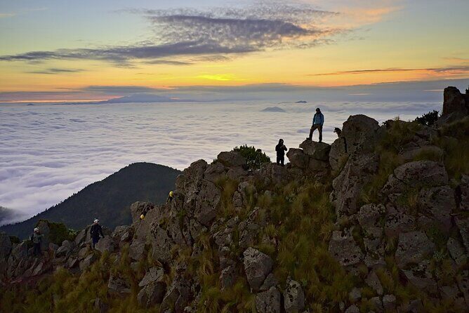 Ajusco Sunrise Hike with Drone photos-highest sunrise in CDMX - The Hard First Stretch: Forest Climb and Rocky Steps