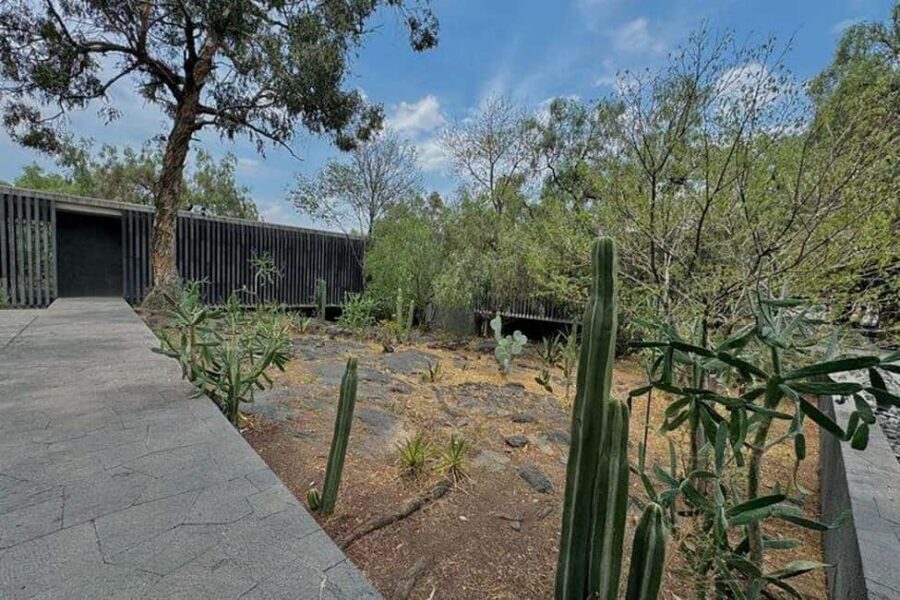 Anahuacalli Museum Guided Tour - Your 2–4 hour guided tour: what you get besides entry