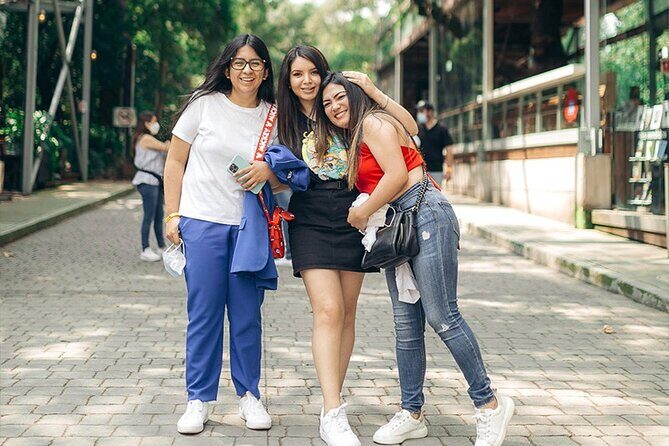 Anthropology Museum, Chapultepec Castle & Cable Car Tour - The Cable Car and Castle combo makes the day work