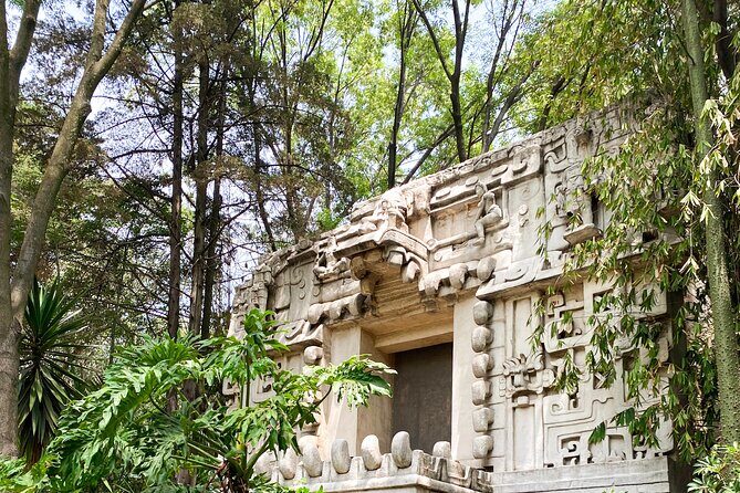 Anthropology Museum Early Access Tour - Who This Tour Suits Best (and Who Should Consider Another Option)