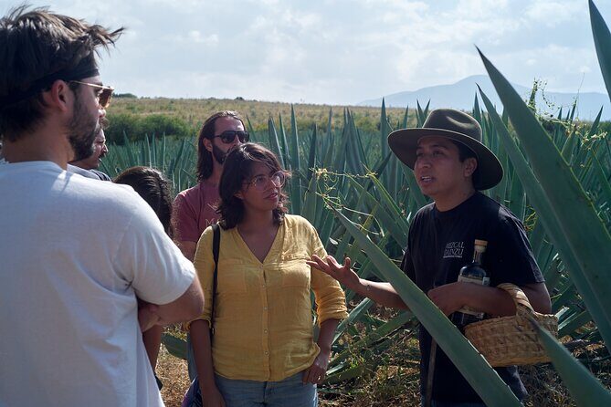 Artisanal Mezcal Culture Tour for Tasting and History - Key things to know before you go