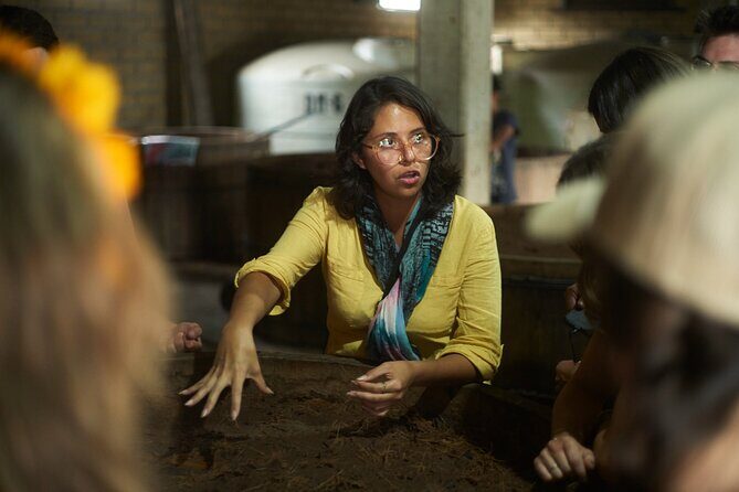 Artisanal Mezcal Culture Tour for Tasting and History - Price and value: is $107.72 a fair deal?