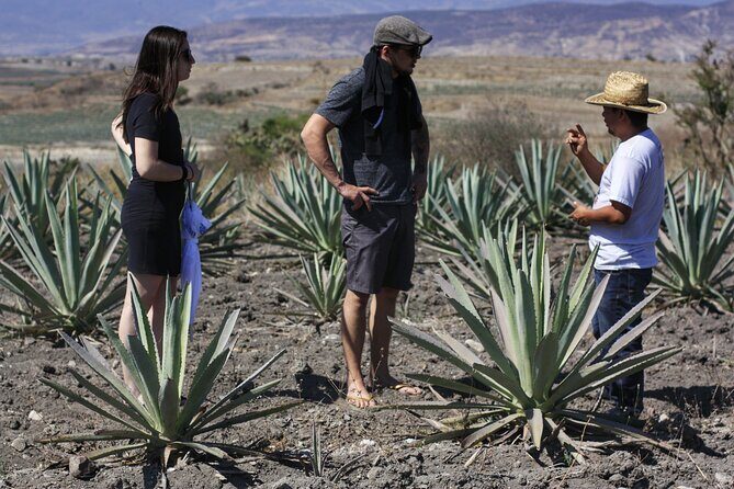 Artisanal Mezcal distillery in an authentic Zapotec village - Why this Zapotec mezcal day is different from a standard tasting