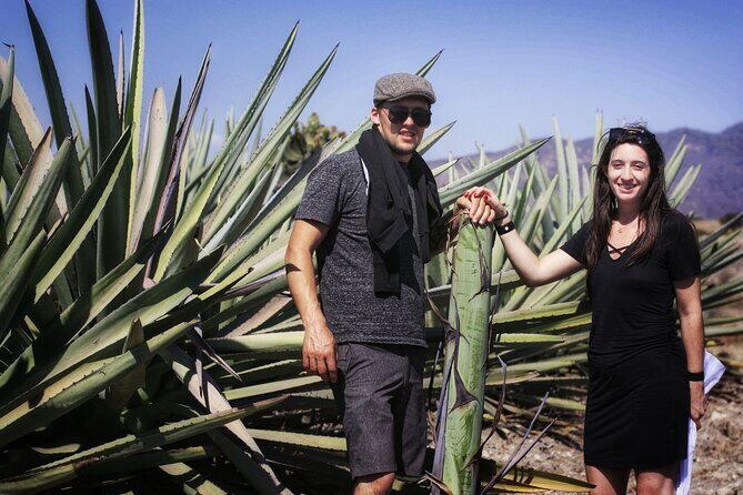 Artisanal Mezcal distillery in an authentic Zapotec village - Zapotec breakfast, then straight into mezcal culture