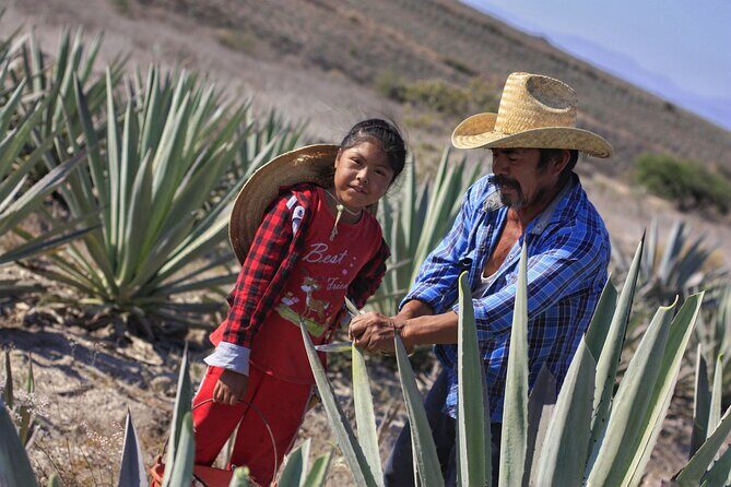 Artisanal Mezcal distillery in an authentic Zapotec village - Inside the mezcaleria: what you’re actually learning