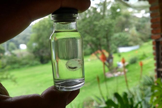Axolotl Tour from CDMX - Breakfast and homemade lunch: what you actually eat on this day