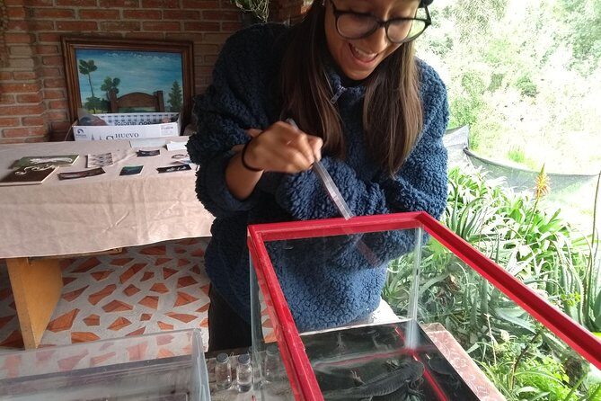 Axolotl Tour from CDMX - Farm animals beyond axolotls: rabbits, guinea pigs, and more