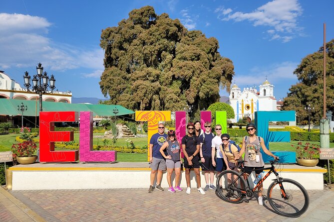 Bike Ride to the Largest Tree in the World - Why This Bike Ride Beats a Typical Day Trip