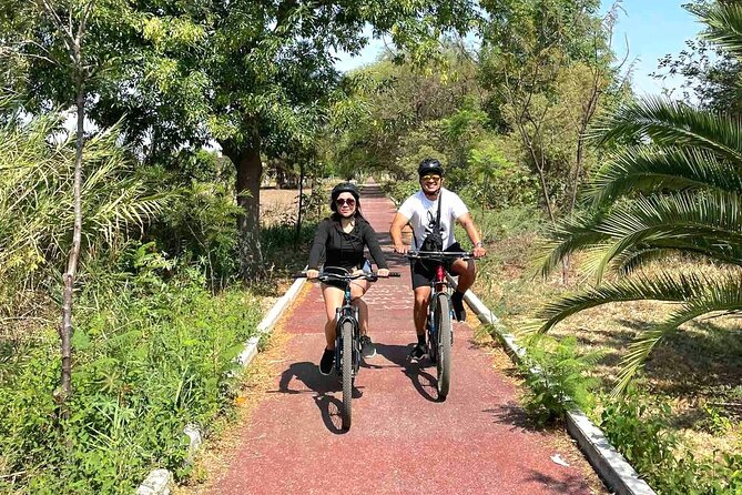 Bike Ride to the Largest Tree in the World - Stop 1 in Santa María del Tule: The Tree, Gardens, and a Church Area