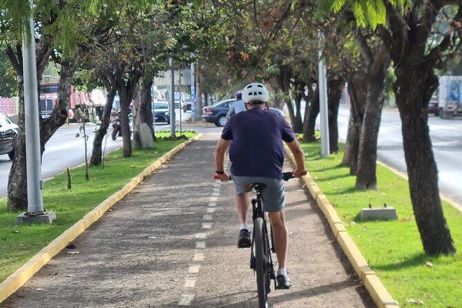 Bike ride to the Tule tree through the countryside - Why This Oaxaca Countryside Bike Ride Feels Different