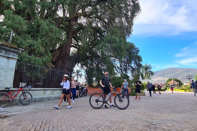 Bike ride to the Tule tree through the countryside - Gear and Guide Support That Keep the Ride Relaxed