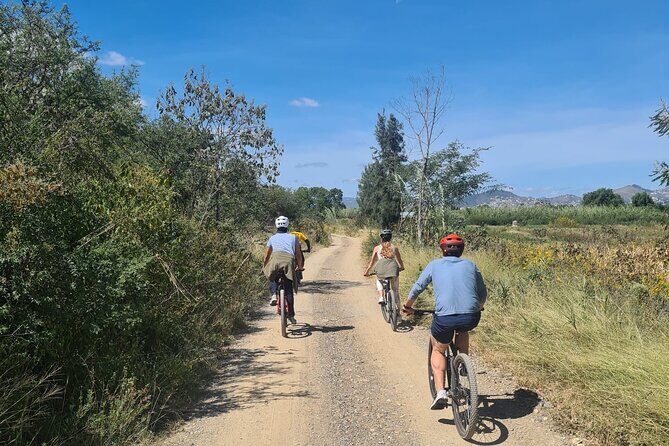 Bike ride to the Tule tree through the countryside - Cash-Only Reality in Tule: How to Prepare Without Stress