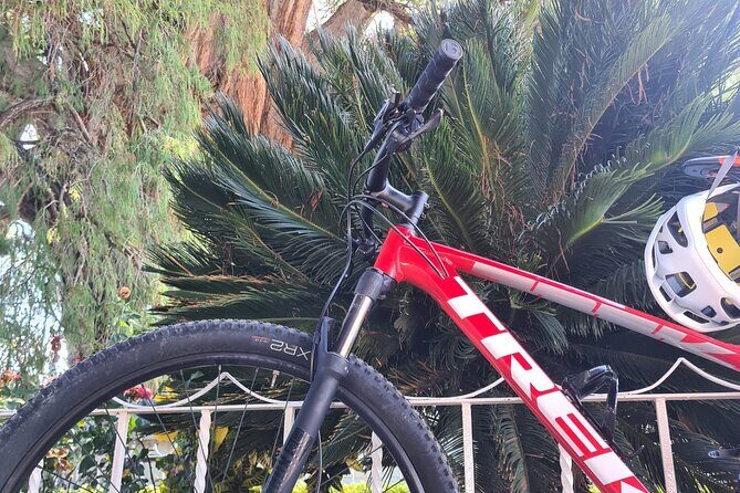 Bike ride to the Tule tree through the countryside - Who Should Book This Bike Flow Oaxaca Tour?