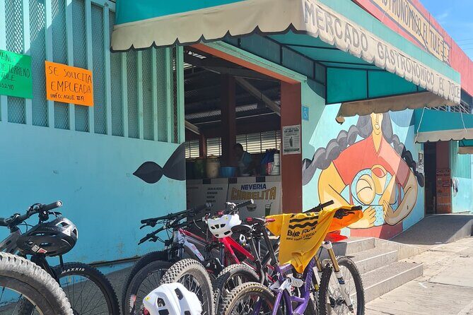 Bike ride to the Tule tree through the countryside - Should You Book This Tour?