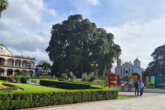 Bike ride to the Tule tree through the countryside - Santa María del Tule: A Mountain-Bike Loop to the Main Square