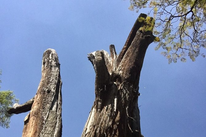 Bike Tour in Mexico City - How your guide turns forest sights into stories (Miguel and Bianca)