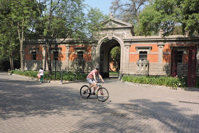Bike tour in the Chapultepec Forest and Roma Condesa - Entering Chapultepec Forest: trees, lakes, and big-name curiosities