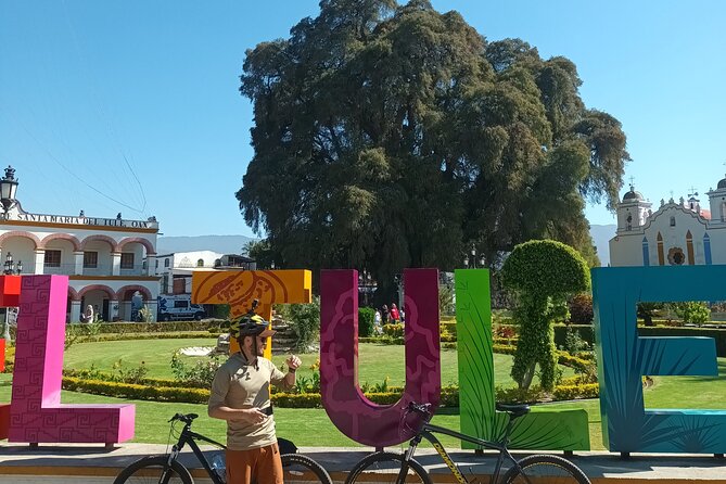 Bike tour to the Tule Tree and the Gastronomic Market - Key things to know before you ride