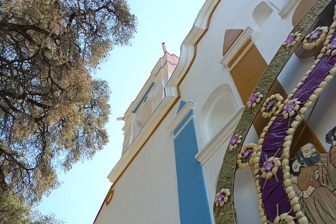 Bike tour to the Tule Tree and the Gastronomic Market - Booking rhythm and timing: how to get it when you want it