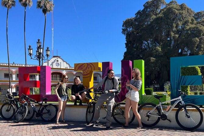 Bike tour to the Tule Tree and the Gastronomic Market - Stop 1: Arbol del Tule and the two-thousand-year wow moment