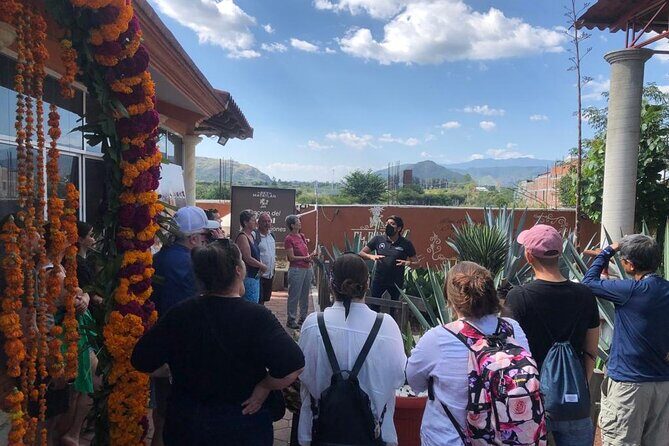 Boil the Water and Distillery of Mezcal Tour - How the guides shape the experience (and why that matters)