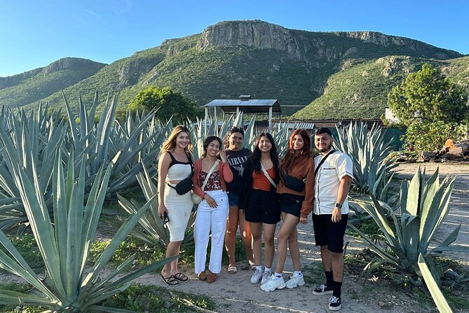 Boil Water,Tube Tree,Mitla,Mezcal and Teotitlan Valley - Hierve el Agua: petrified waterfalls, swimming, and the short walk plan
