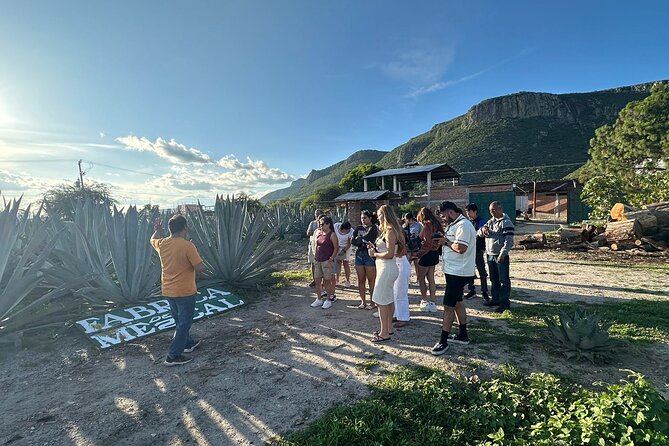 Boil Water,Tube Tree,Mitla,Mezcal and Teotitlan Valley - Mitla archaeological area: Zapotec devotion and “restlessness”