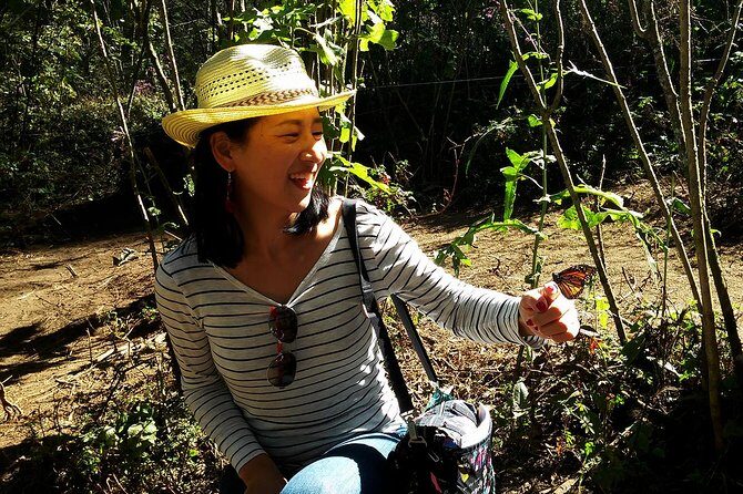 Butterfly Monarch Tour from Mexico City - Price and logistics: is $250 good value from Mexico City?