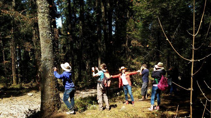 Butterfly Monarch Tour from Mexico City - When to go, and how to pack for monarch conditions