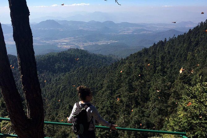Butterfly Monarch Tour from Mexico City - The hike at altitude: steep, rocky, and worth it (if you prep)