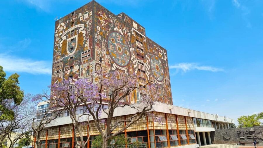 CDMX: Coyoacán, UNAM, Xochimilco, and optional Frida Kahlo Museum - Supporting artisans at a cooperative shop (and why it’s worth your time)