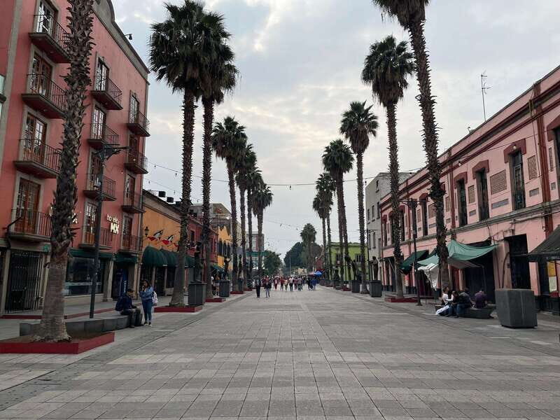 CDMX: Garibaldi Copa Show - Panoramic drive: seeing CDMX streets after dark
