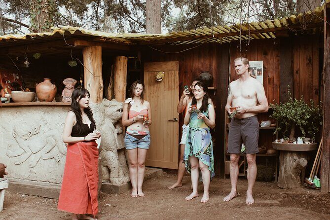 CDMX: TEMAZCAL Healing & cleansing ceremony ritual Zapoteca - Inside the dome: hot stones, herbal steam, and what to expect
