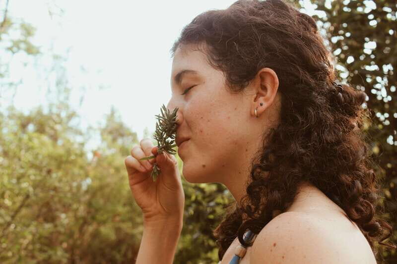 CDMX: TEMAZCAL Healing & cleansing ceremony ritual zapoteco - What a temazcal does, and what you should expect inside